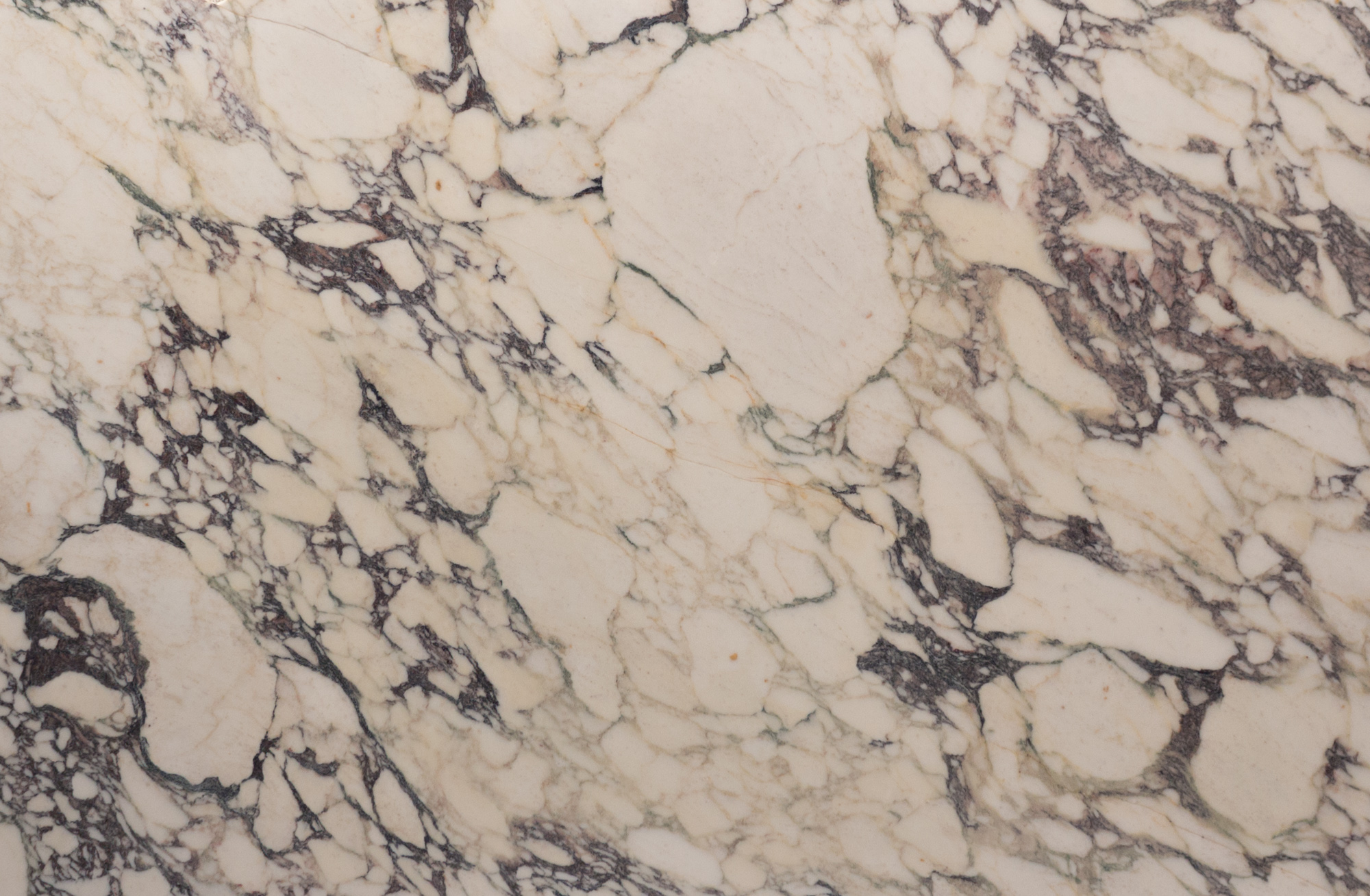 CALACATTA MONET | Marmo Elite