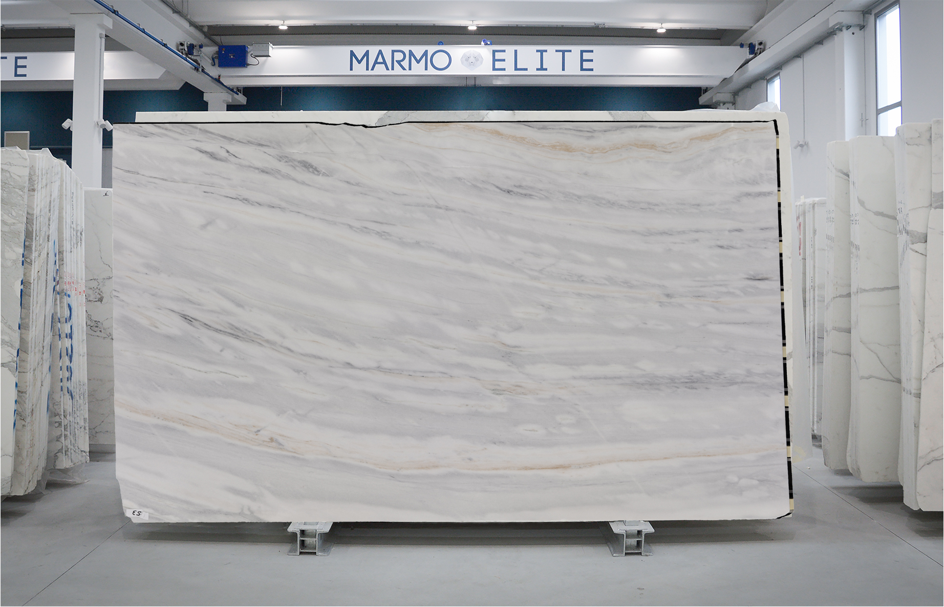 BIANCO LASA COVELANO