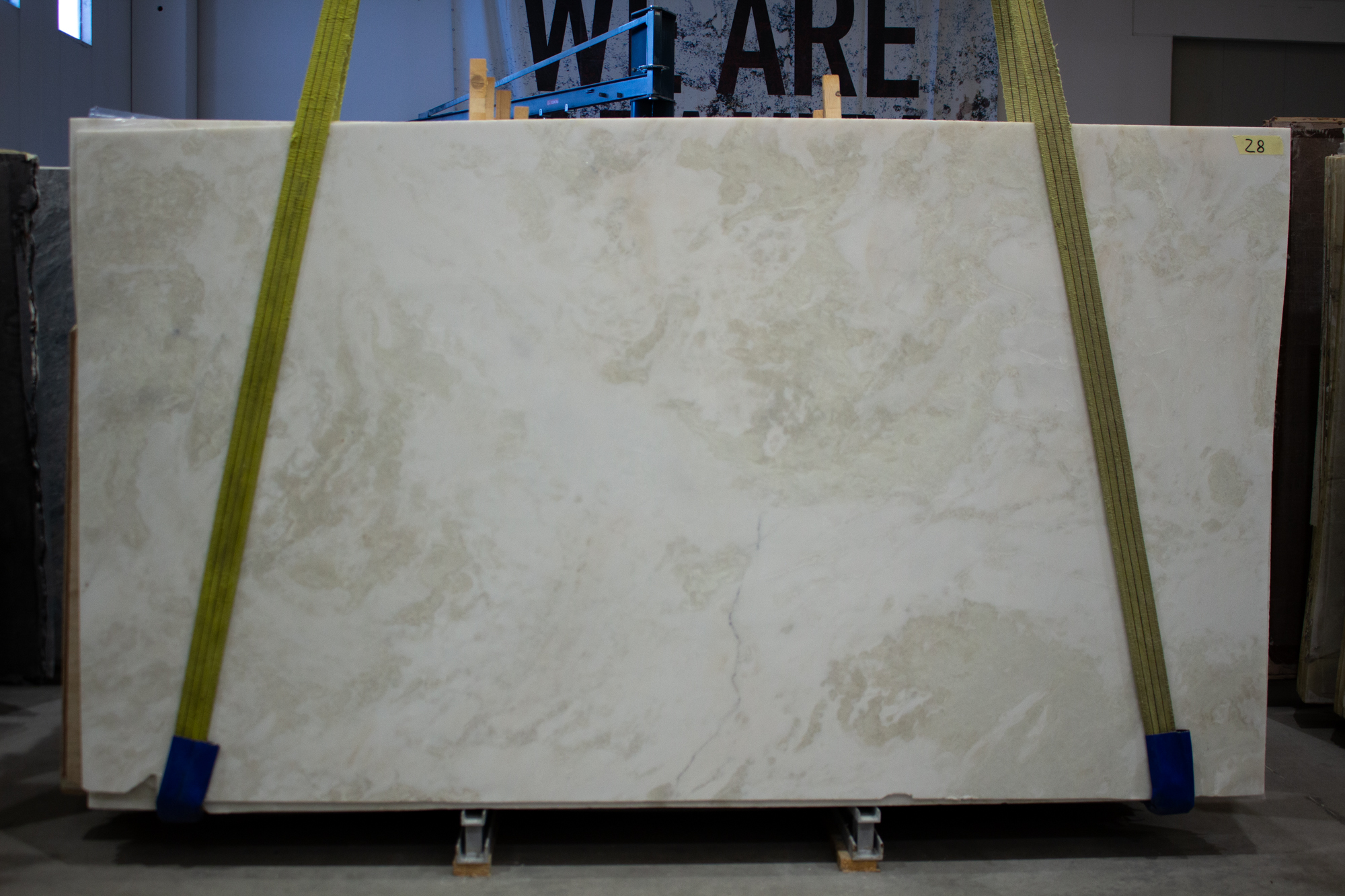 BIANCO NAMIBIA/RHINO