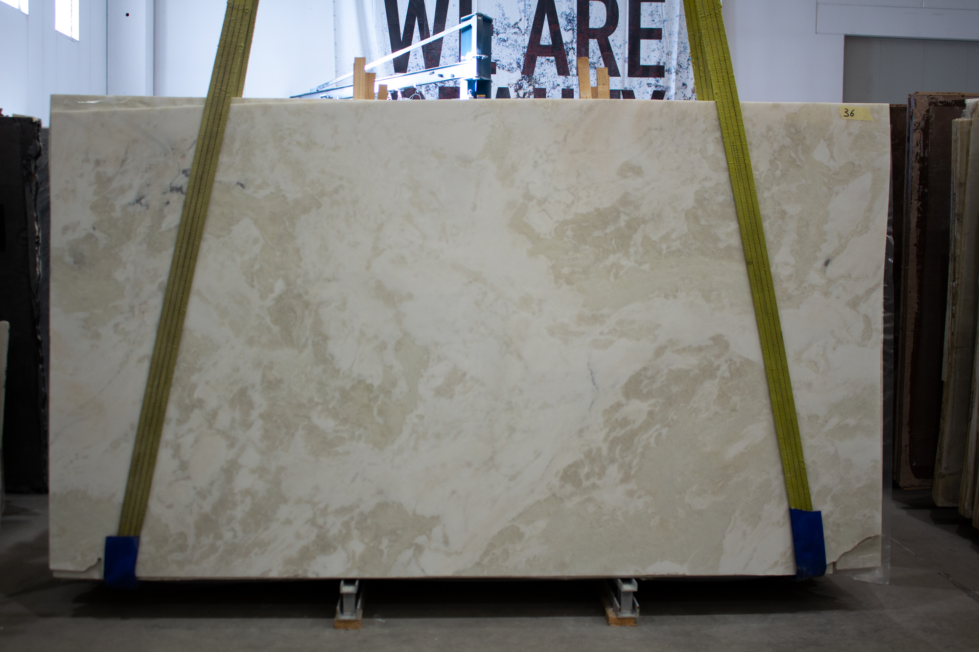 BIANCO NAMIBIA/RHINO