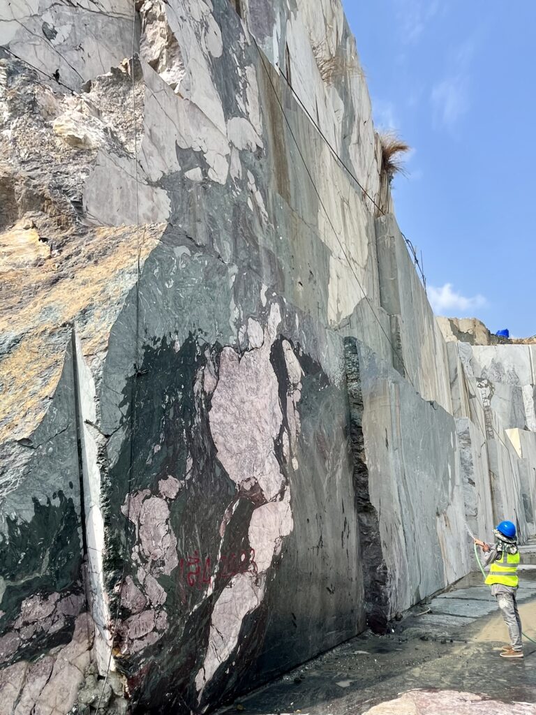 cava new four season